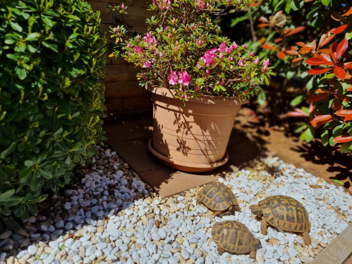 Holiday Home Drago Zadar Dış mekan fotoğraf
